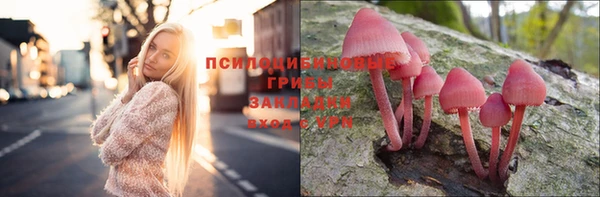 PSILOCYBIN Абаза