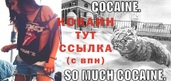 стафф Абинск