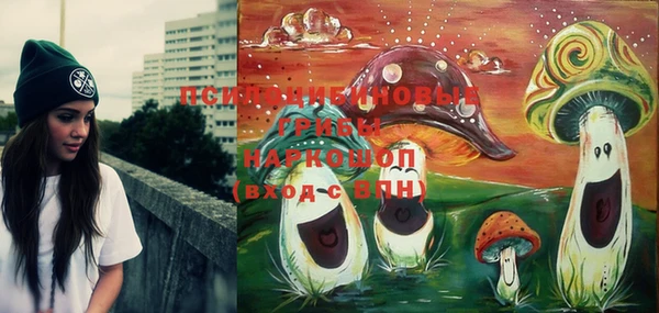 PSILOCYBIN Абаза