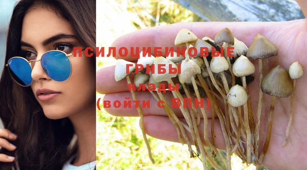 стафф Абинск