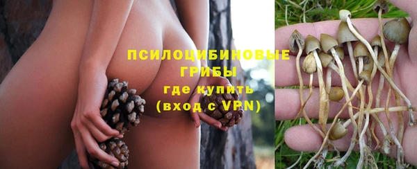PSILOCYBIN Абаза