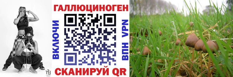 где найти   Усть-Катав  Галлюциногенные грибы Magic Shrooms 
